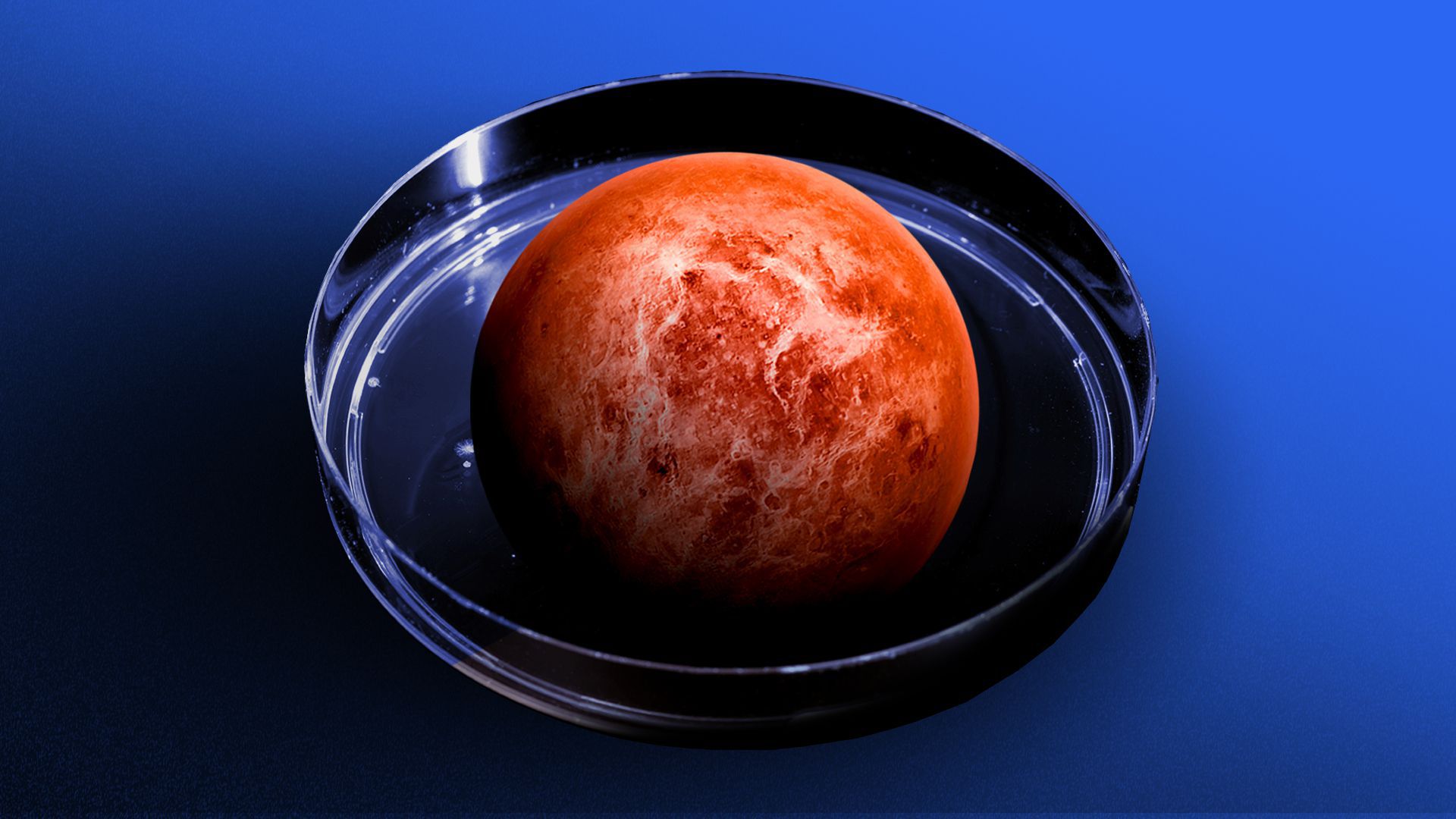 ვენერაზე სიცოცხლის არსებობის მეორე ნიშანი აღმოაჩინეს