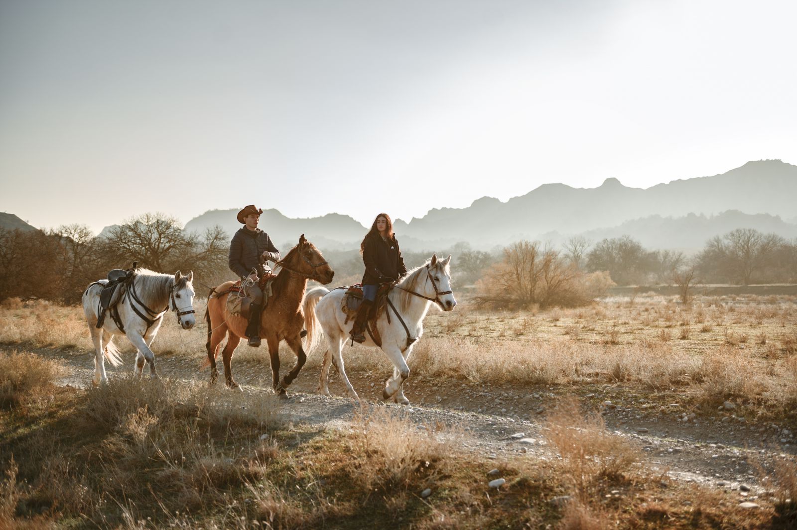 “საქართველოს საცხენოსნო ტურიზმის განვითარების დიდი პოტენციალი აქვს”